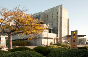 modern college building with autumn tree