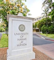 sign 'university of hawaii at manoa' with palm trees