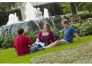 students studying on grass